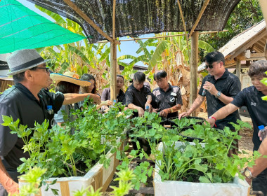 ศส.10 ลำปาง ... พารามิเตอร์รูปภาพ 11